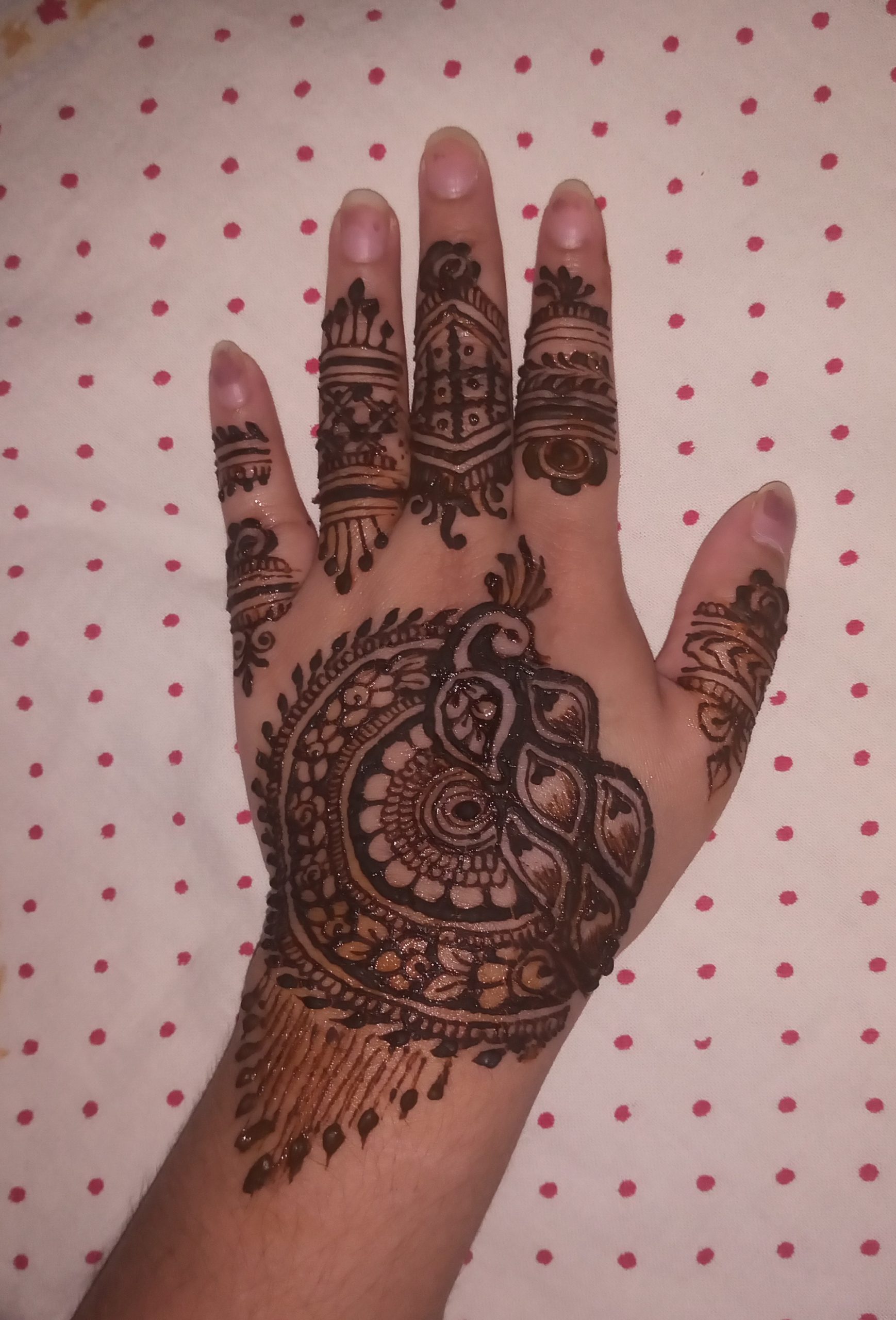 IMG_20230219_022439997~2